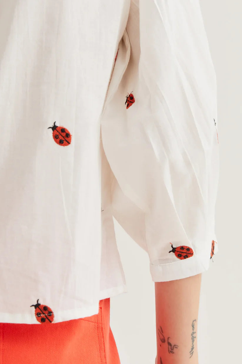 CAMISA ESTAMPADO LADYBUGS COMPAÑÍA FANTÁSTICA