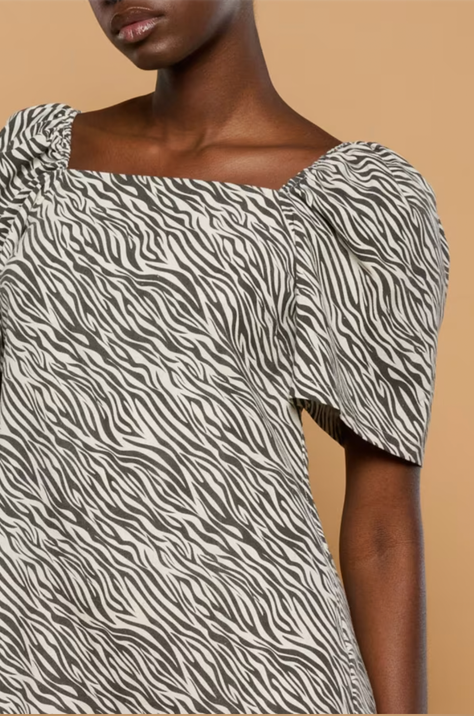 ZEBRA DRESS MINUETO